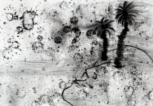 A charcoal drawing by Mohammad Alfaraj